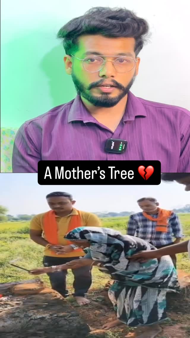 Instagram reel thumbnail for emotional tree story